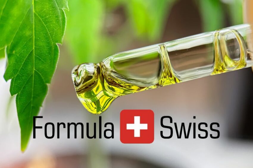 Formula swiss cannabisdråber: Økologi og effektivitet i perfekt harmoni